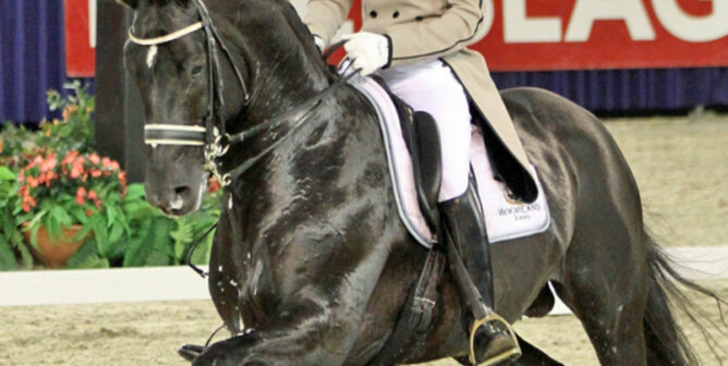 Totilas Pferd mit Reiter