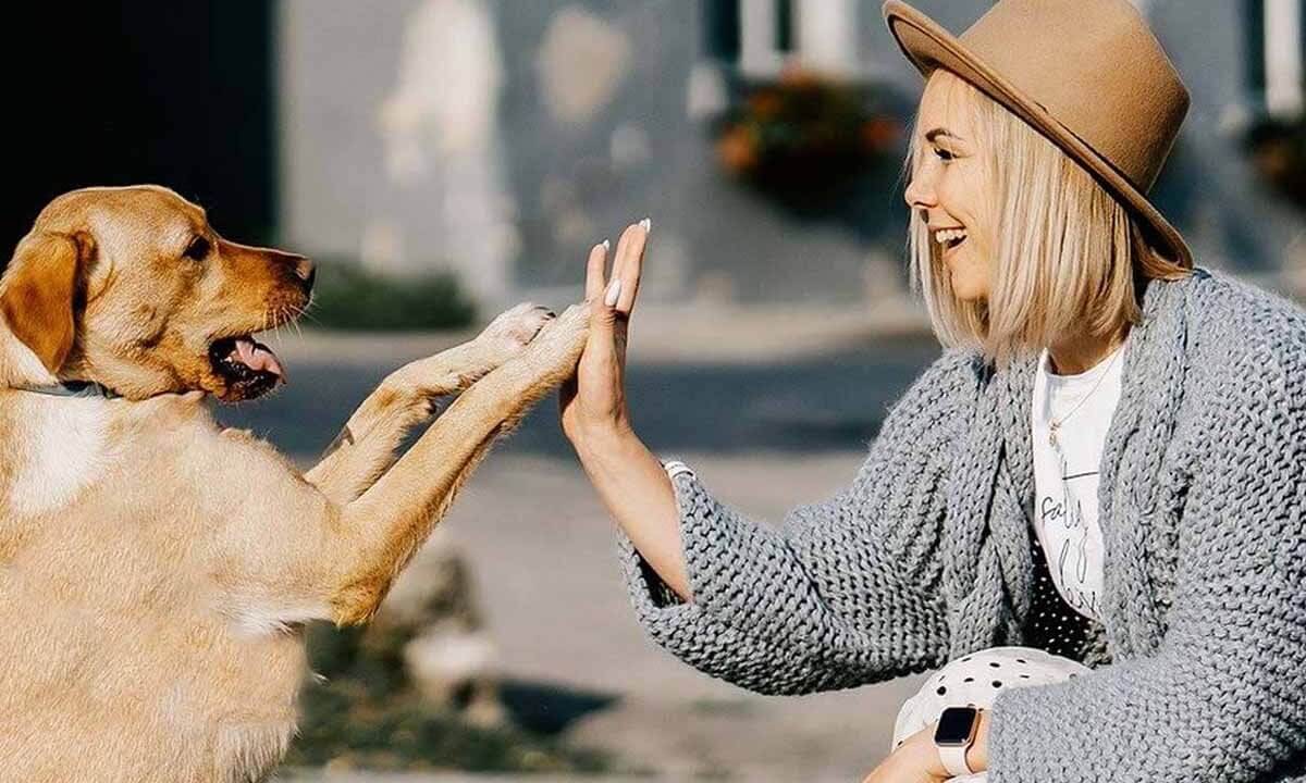 Eine Frau haelt die Pfoten eines Hundes.
