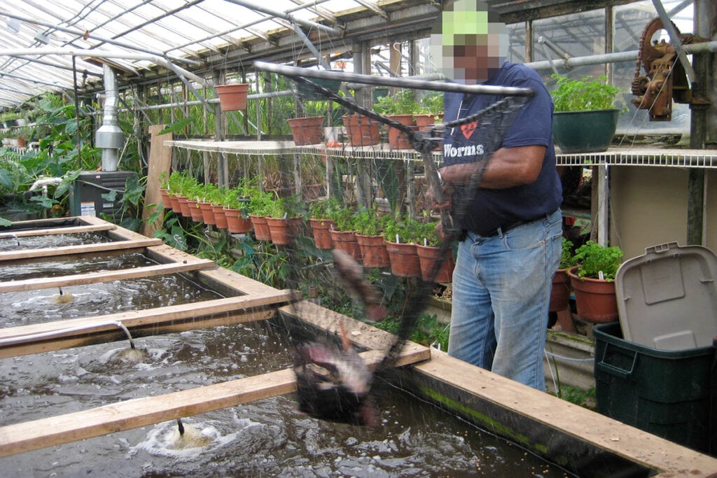 Mann faengt Fisch mit einem Netz
