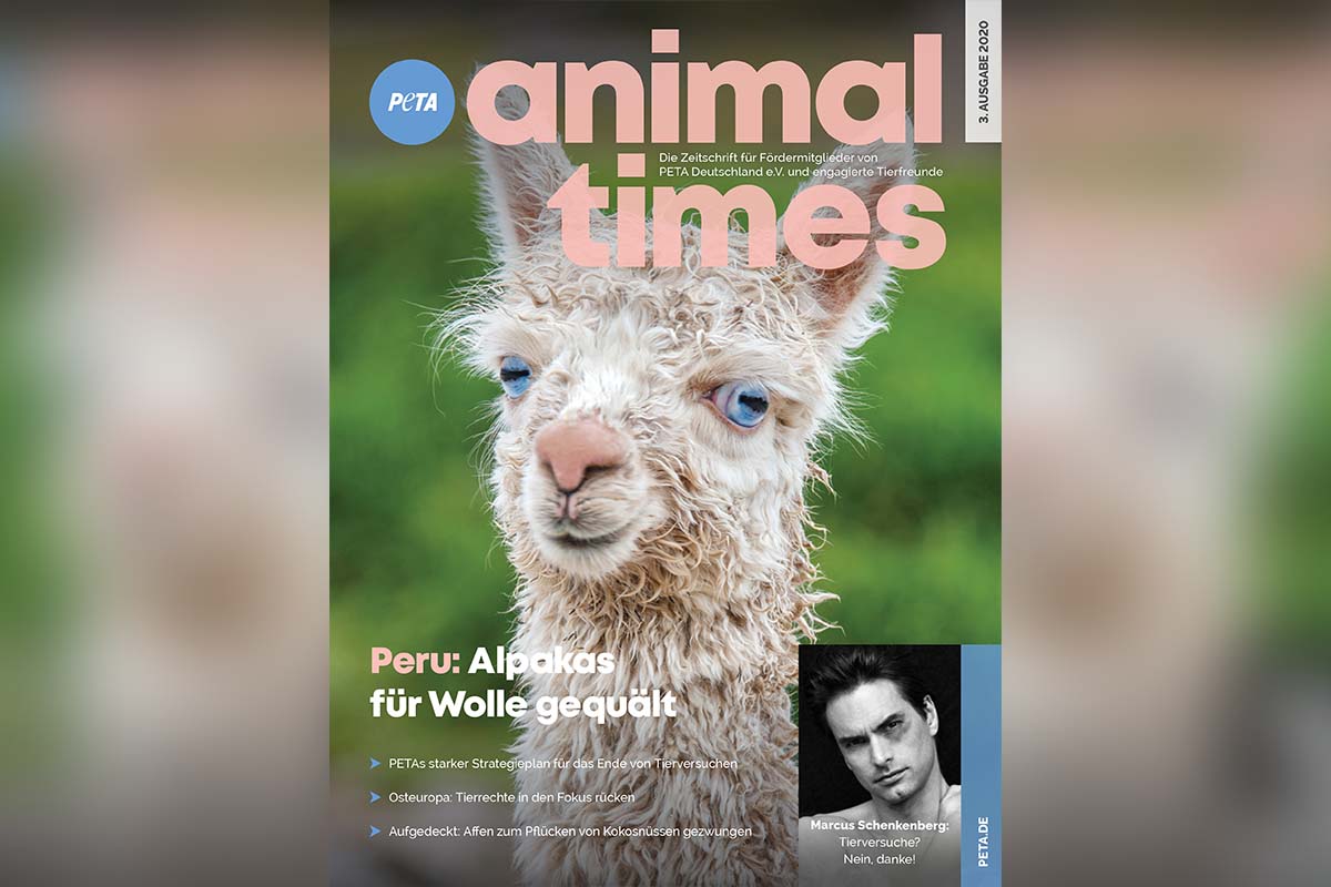 PETAs Animal Times – Die Zeitschrift für engagierte Tierfreunde – 2. Ausgabe 2020