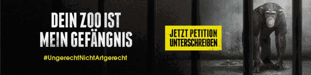 Menschenaffen Kampagne Banner