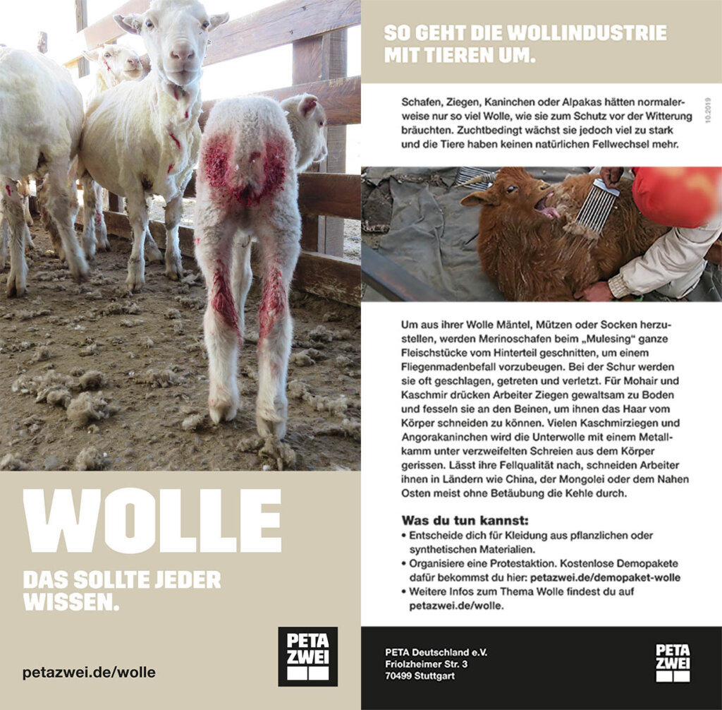 Flyer ueber Wolle