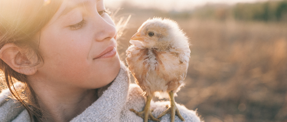 Gratis Vegan-Broschüren für den leichten Einstieg
