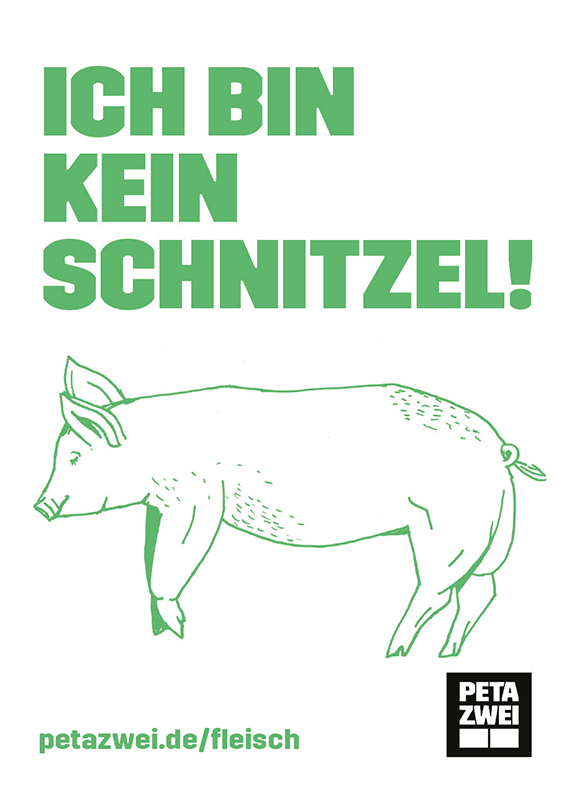 PETA ZWEI Plakat Schwein