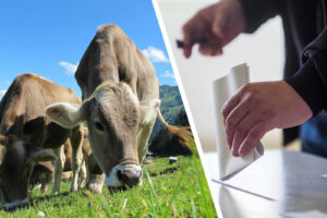 Landtagswahl Rheinland-Pfalz 2021: Tierschutz-Wahlprüfsteine