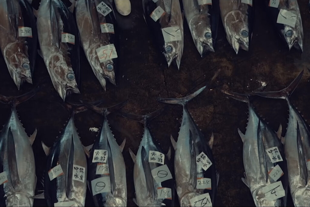 tote Fische