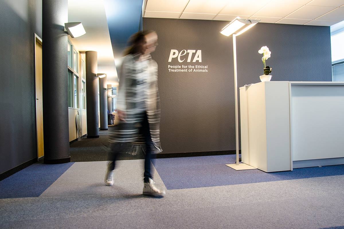 Online Marketing Manager (m/w/d)