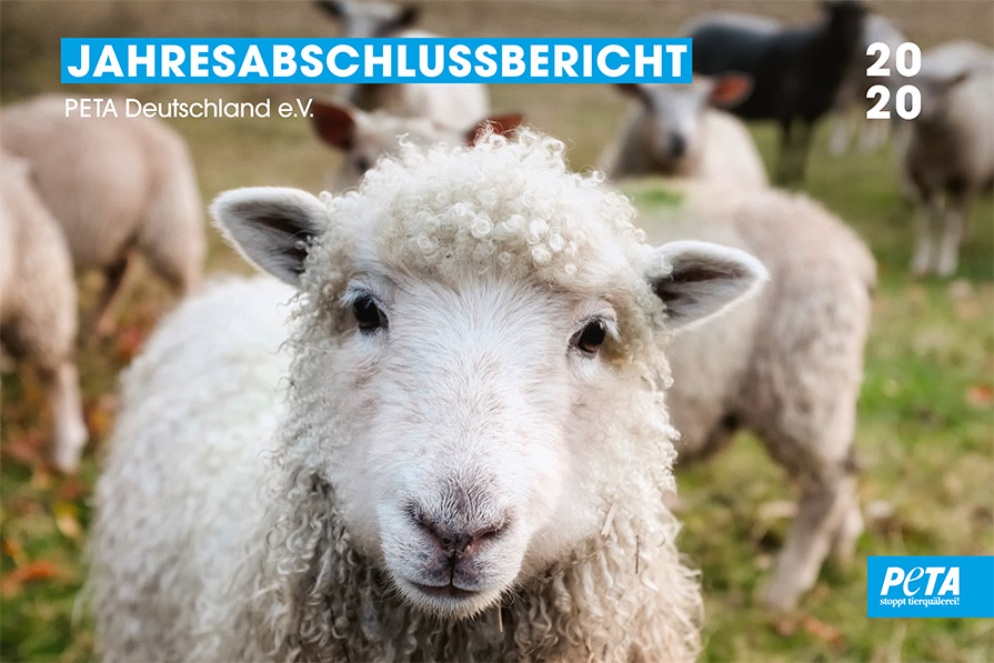 PETAs Jahresbericht 2020