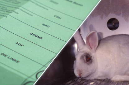 Wahlzettel gegen Tierversuche