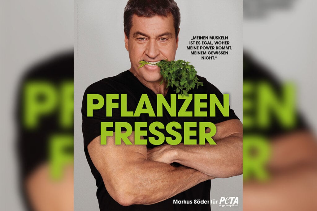 PETA Motiv Markus Söder Pflanzenfresser