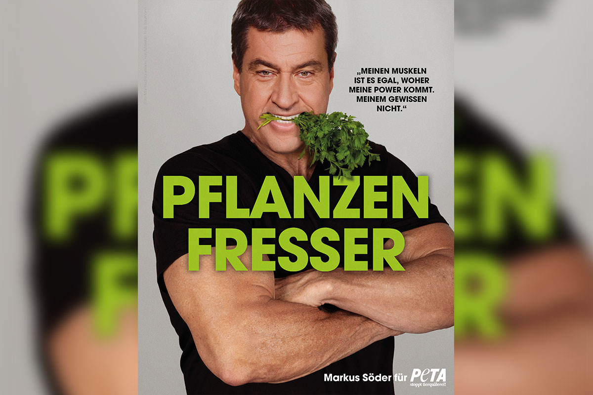 Markus Söder lebt jetzt vegan | „Pflanzenfresser“-Motiv für PETA