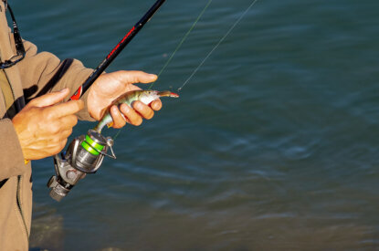 Angler mit Angelrute