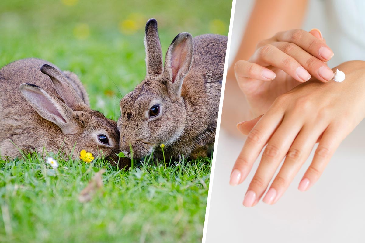 Tag zur Abschaffung der Tierversuche: Diese 10 Firmen helfen