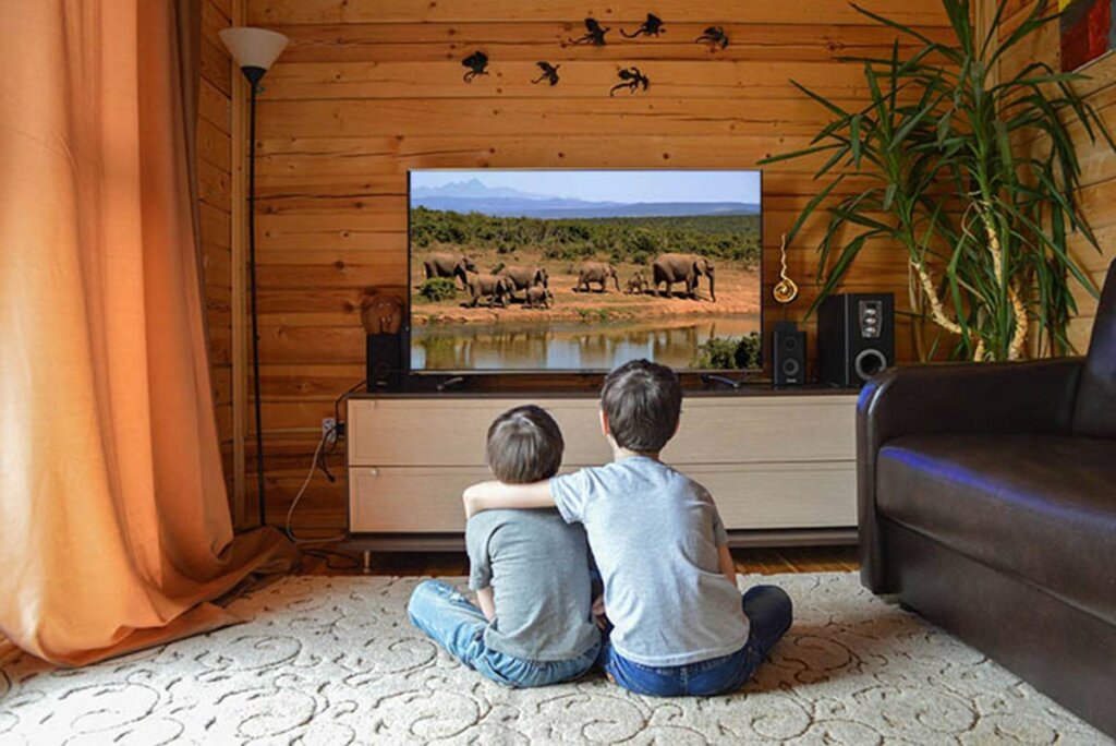 Kinder sitzen vor einem Fernseher