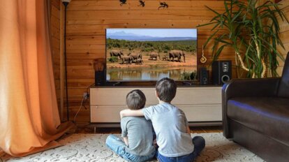 Kinder sitzen vor einem Fernseher