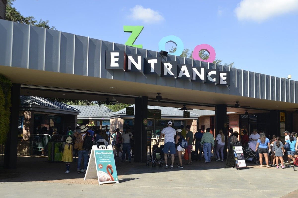 Ausflug in den Zoo mit Kindergarten- & Schulkindern: Was Kinder (nicht) lernen