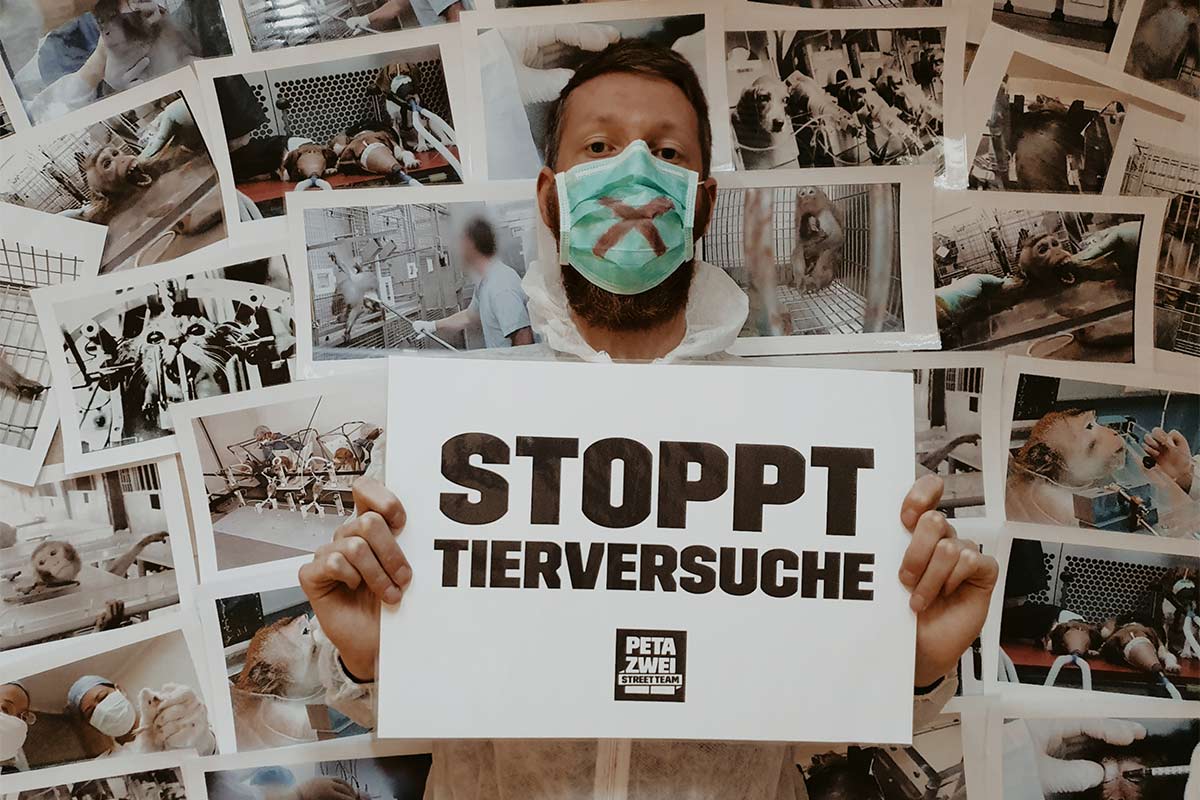 Helfen Sie, den Bau neuer Tierversuchslabore zu stoppen