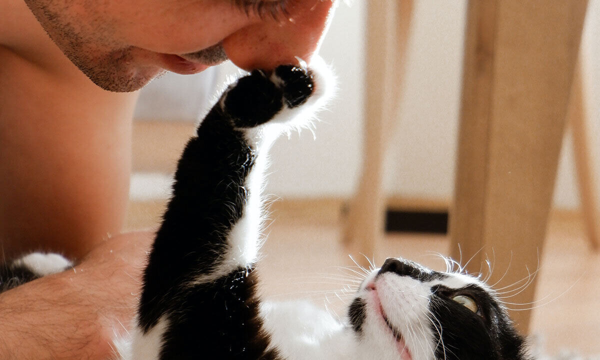Weiss-schwarze Katze liegt am Boden und drueckt seine Pfote an die Nase eines Mannes, der ueber sie gebeugt ist.