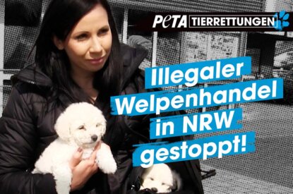 Thumbnail Welpenhandel