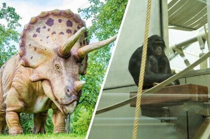 Collage Dinosausier Figur und Affe im Zoo