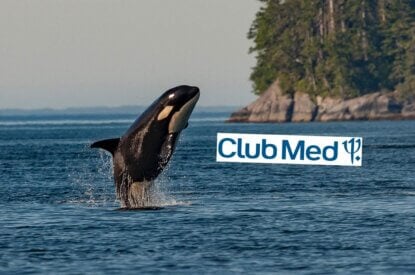 Collage Orca im Meer und Club Med Logo