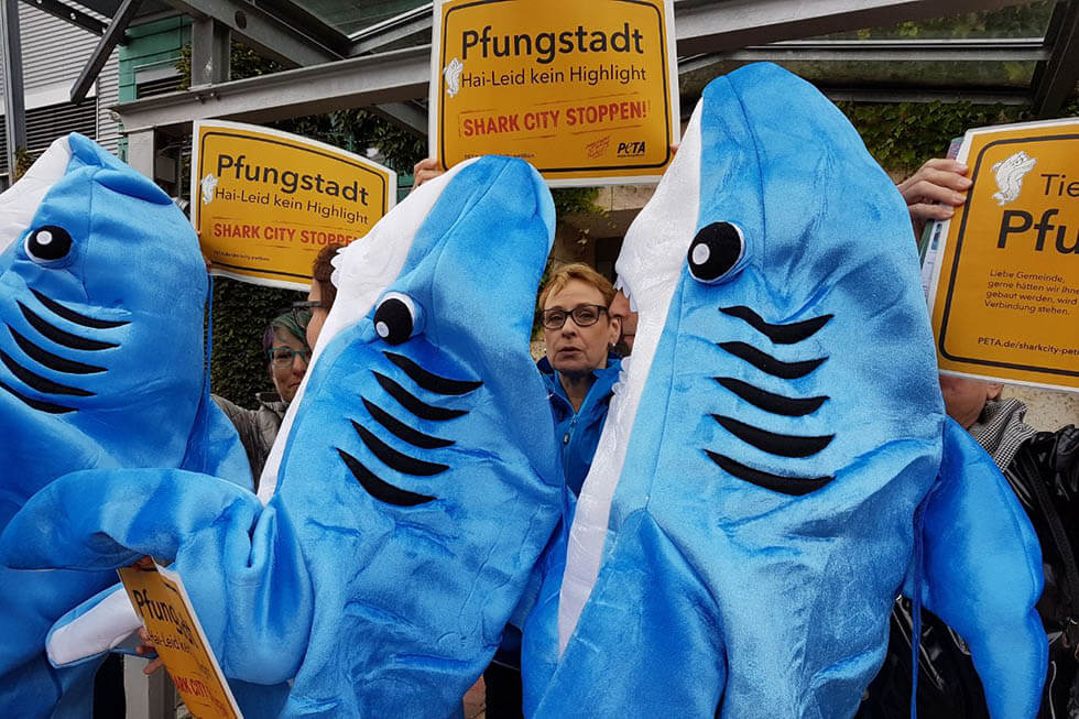 shark city Proteste