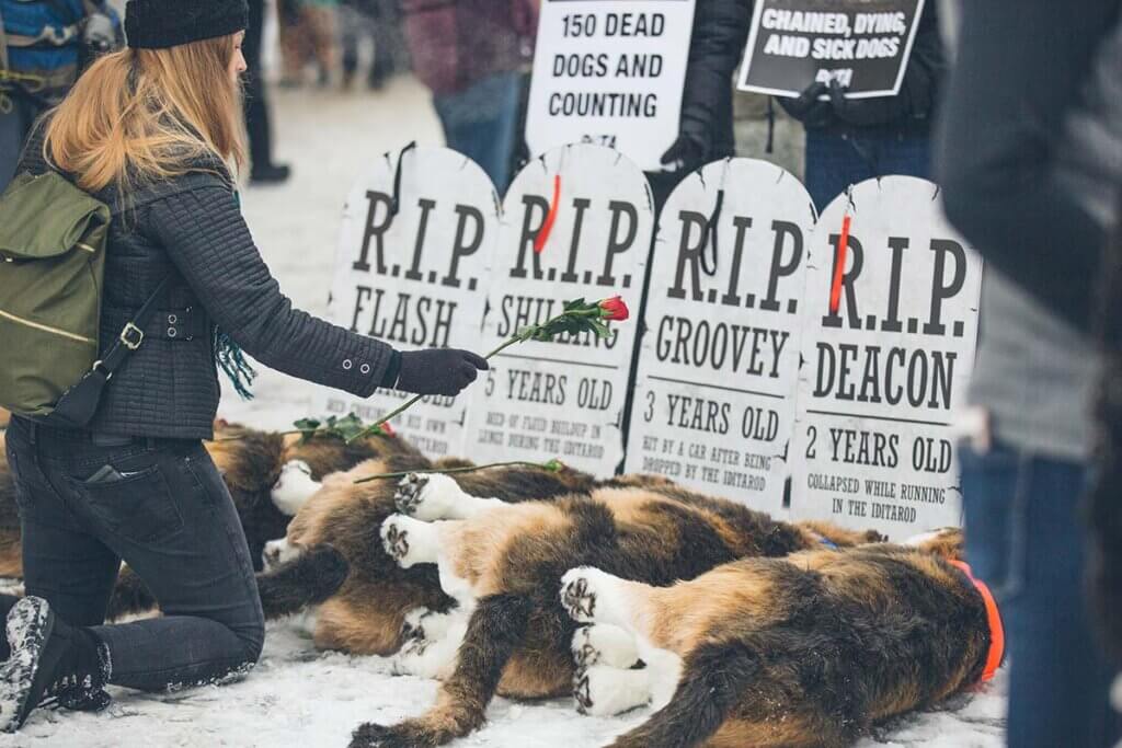 Demonstration fuer verstorbene Hunde vom Hunderennen