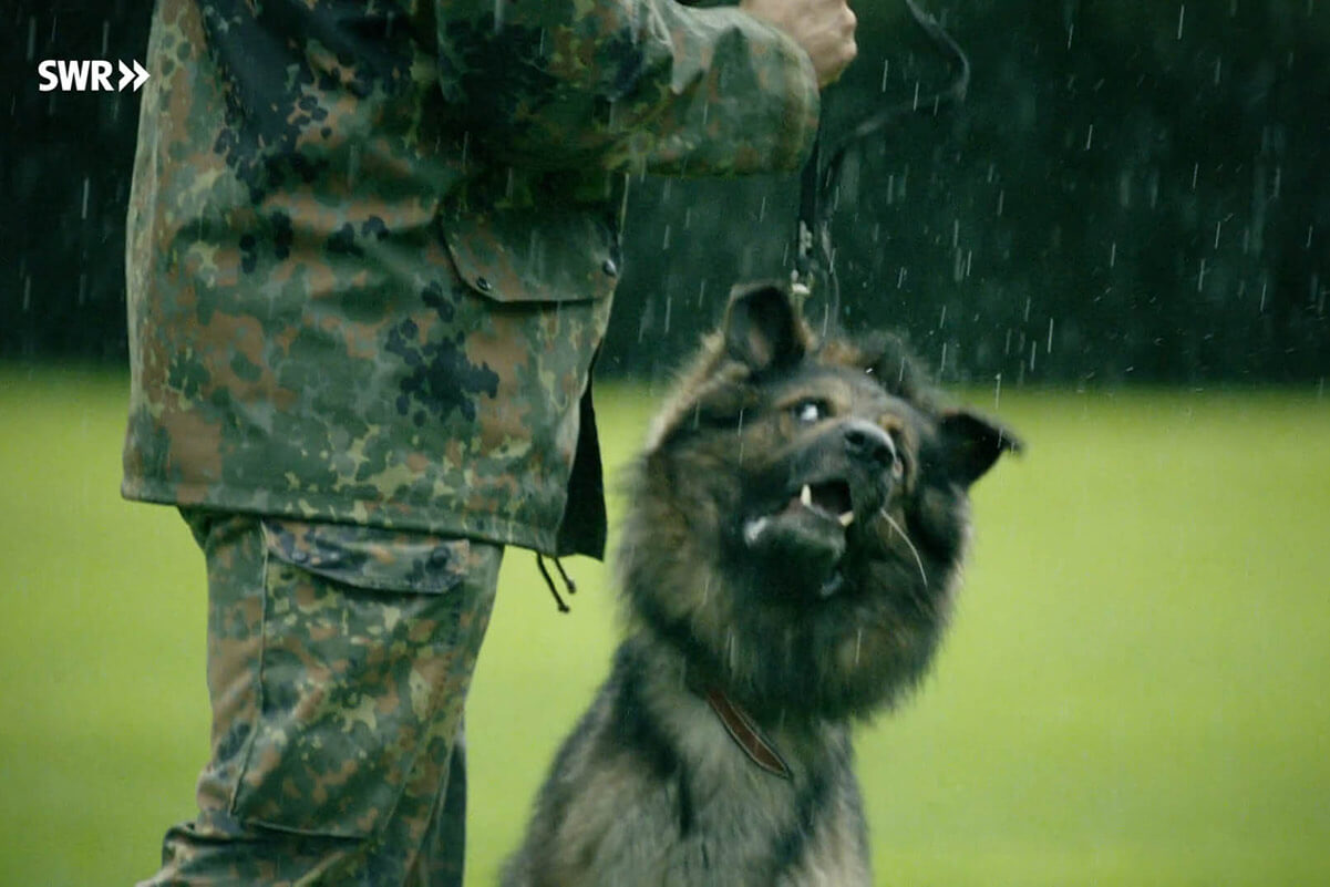 Doku „Hundesoldaten“: Tierquälerei bei der Bundeswehr