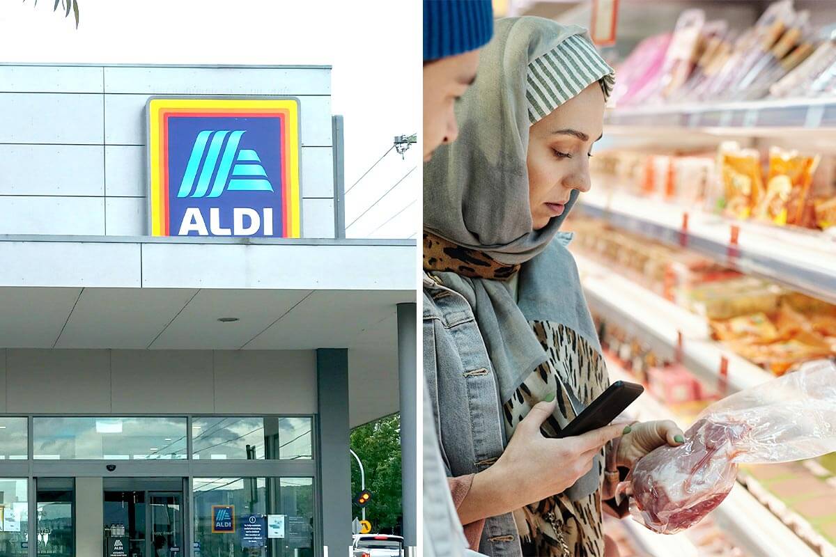 Kein „Billigfleisch“ mehr bei Aldi & Co.: Kein Gewinn für Tiere