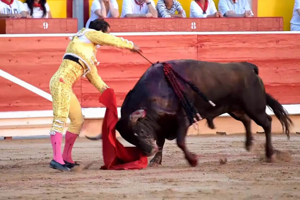 Matador kaempft mit einem Stier