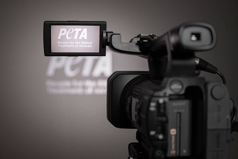 In eigener Sache: PETA sucht aktuell keine Modelle für Fotoshooting