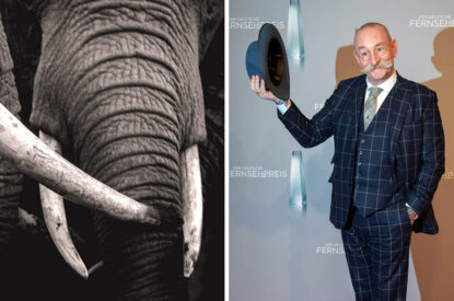 Collage Elefant und Horst Lichter
