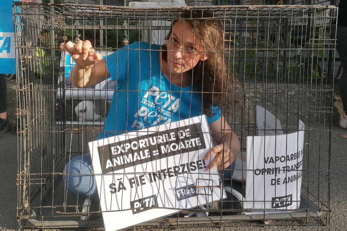Demonstrantin in kleinem Kaefig
