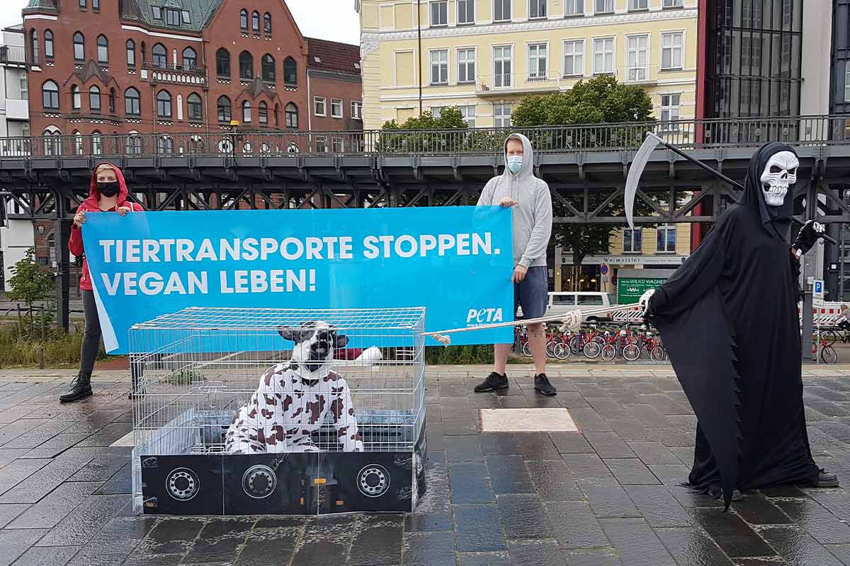 Demonstration gegen Tiertransporte