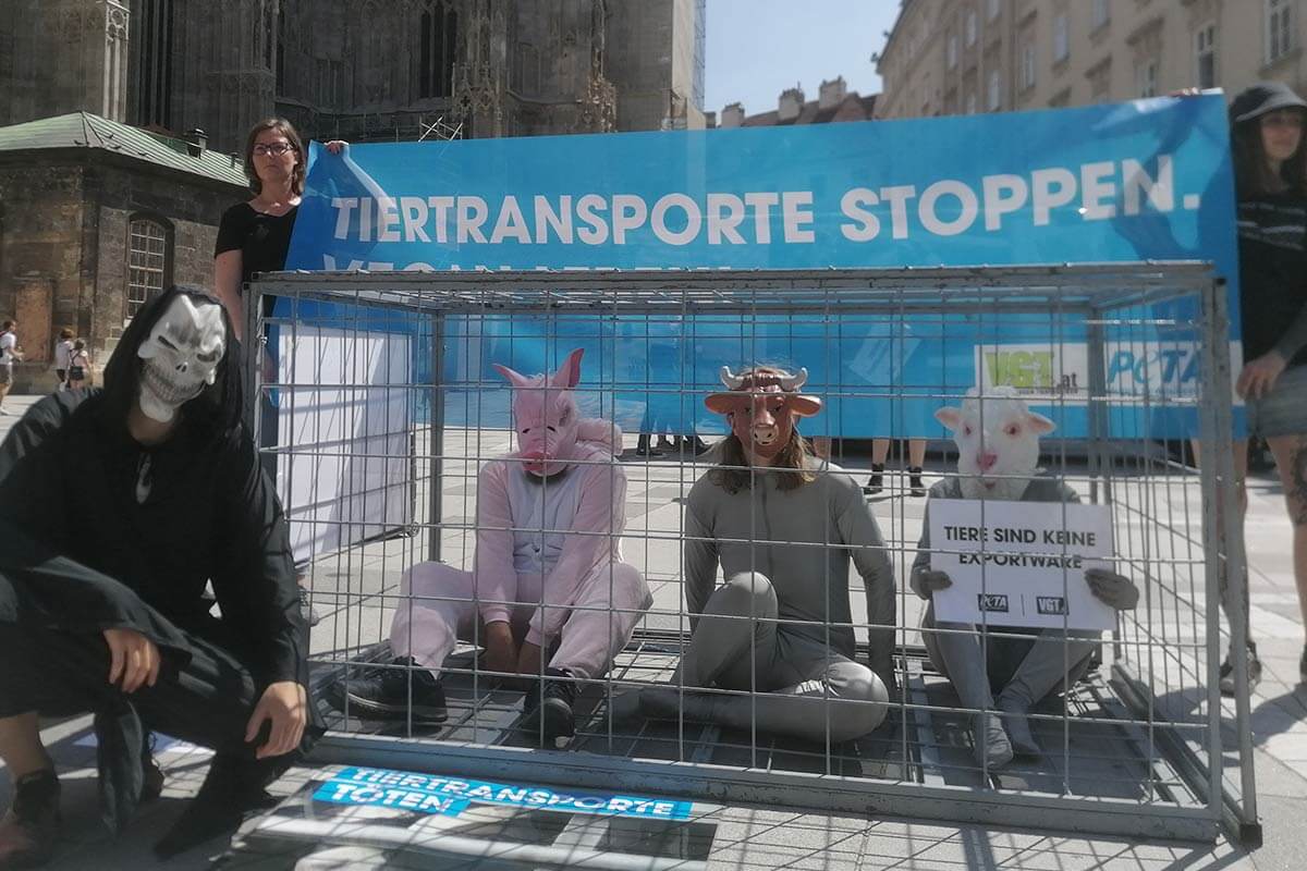 Demonstration gegen Tiertransporte