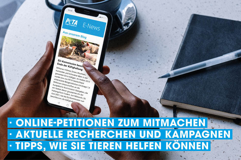 Zum Newsletter anmelden
