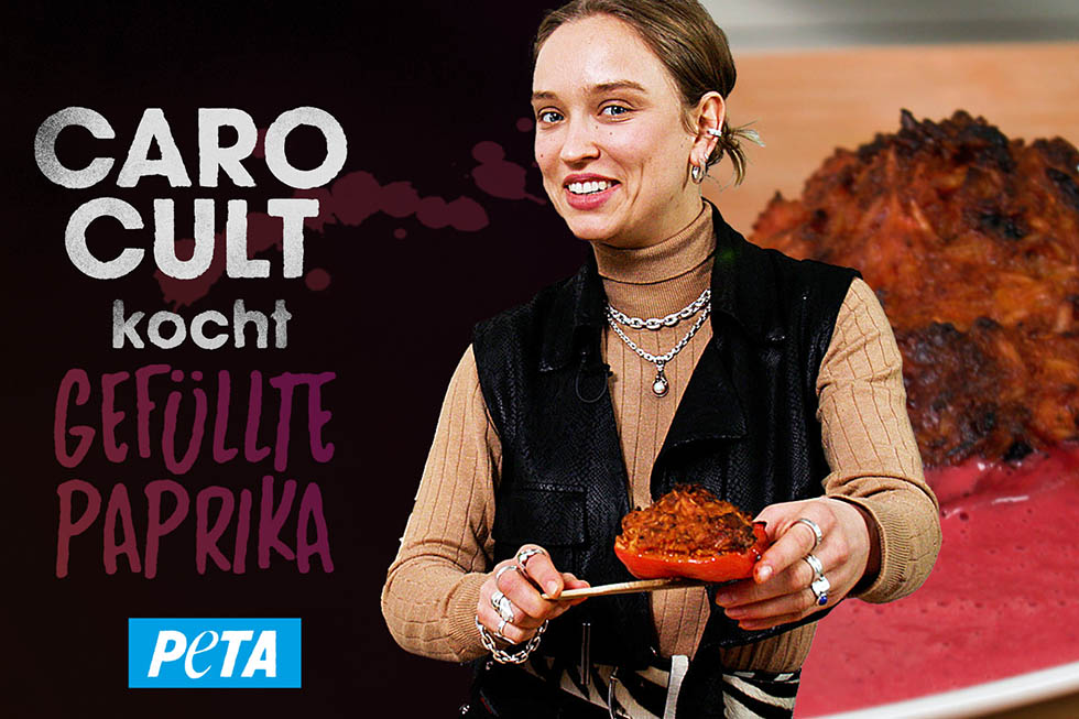 gefuellte paprika von caro cult