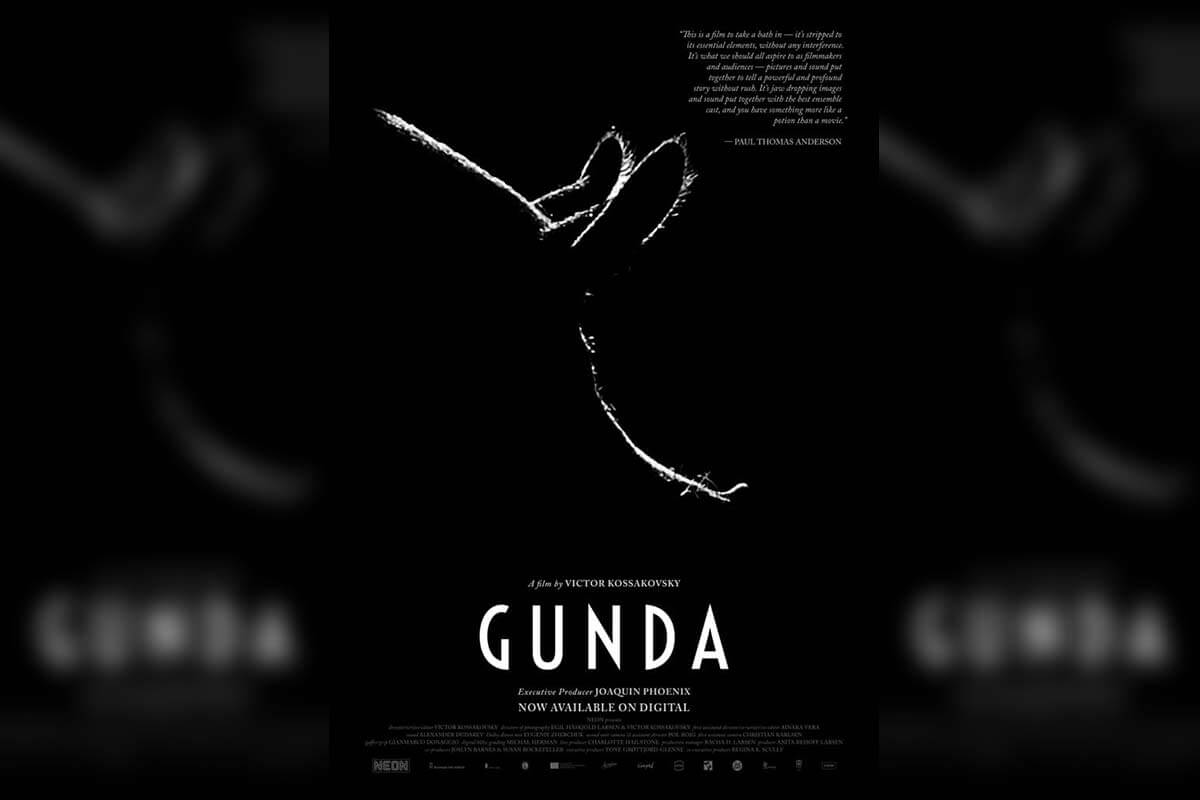 GUNDA: Tierdokumentation von Joaquin Phoenix jetzt auf DVD