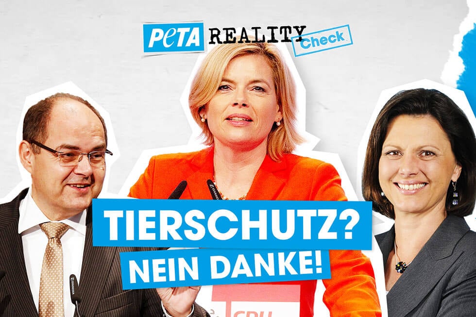 Thumbnail Bundeslandwirtschaftsminister Tierschutz Check