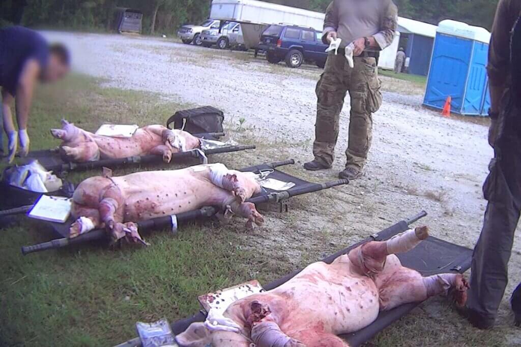 Trauma Training des Militaer an Schweinen
