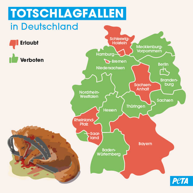 Grafik Totschlagfallen der deutschen Bundesländer, in denen diese Fallen verboten und weiterhin erlaubt sind.