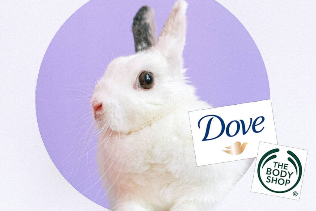 Hase und Dove Logo und Bodyshop Logo