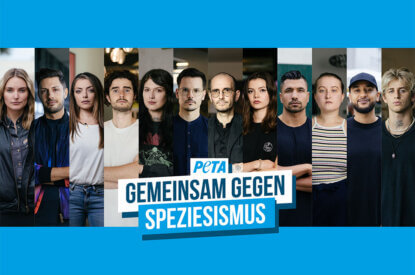 Speziesismus Testimonial Banner