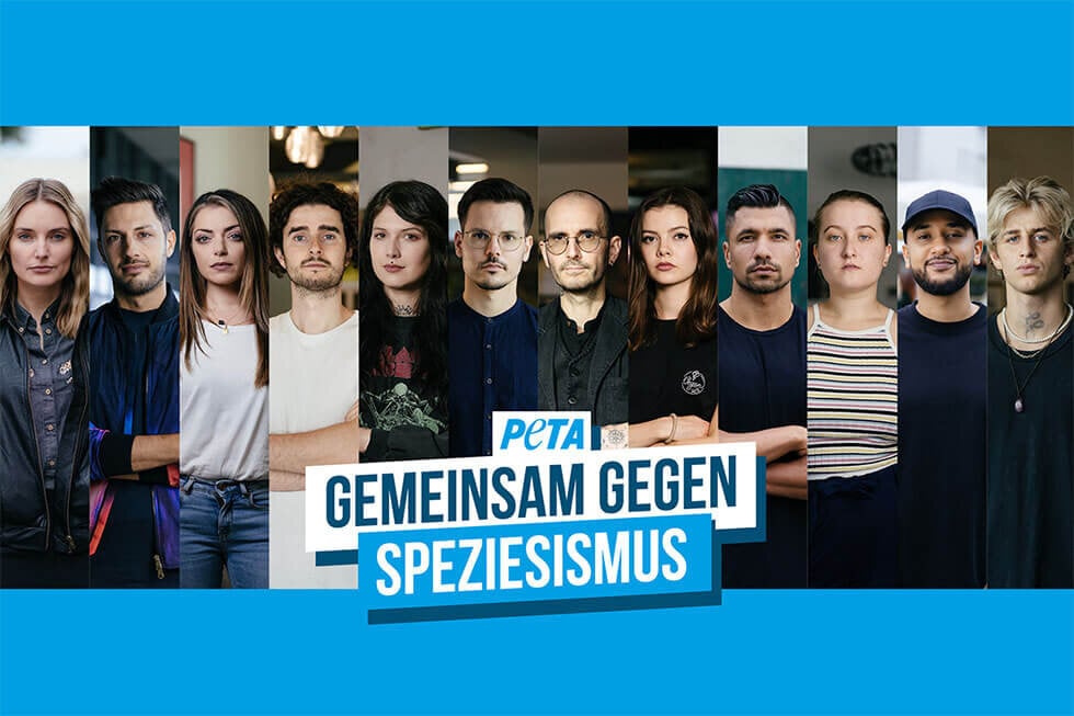 Speziesismus Testimonial Banner