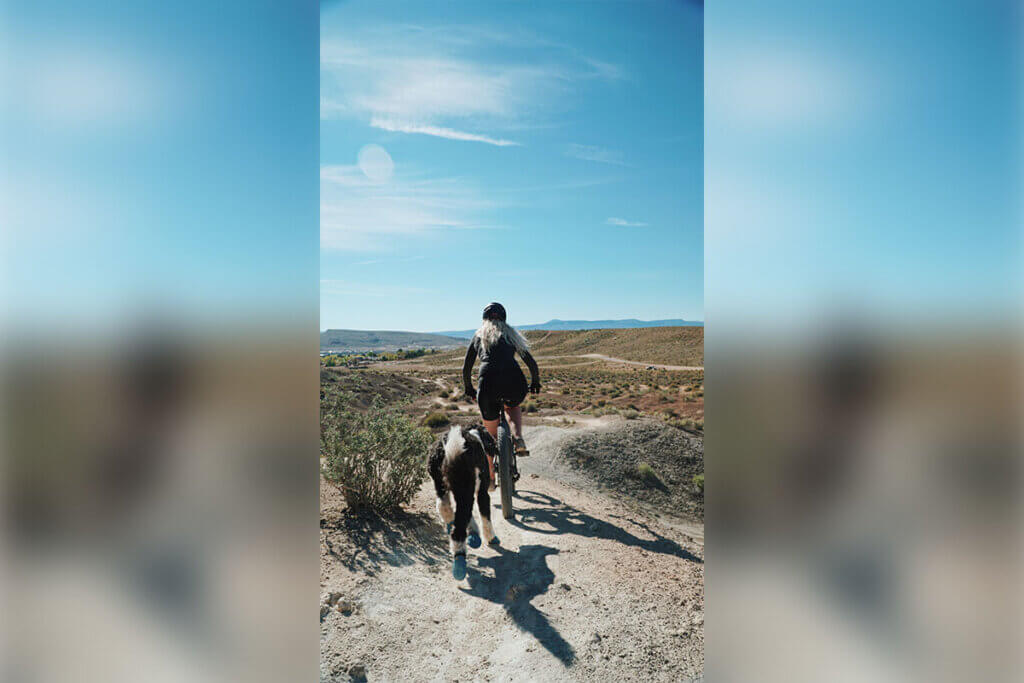 hund rennt hinter einem fahrrad her