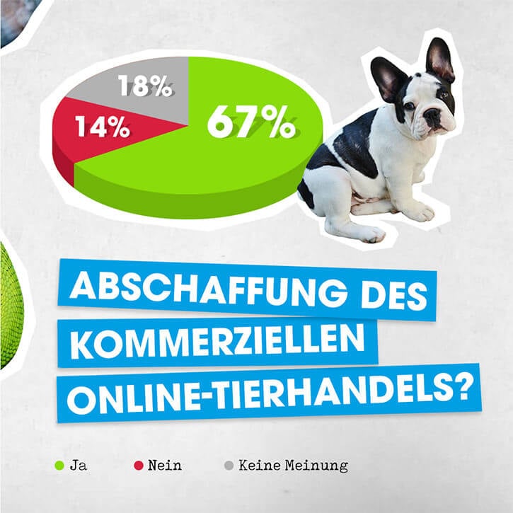 Umfrageergebnisse Online-Tierhandel