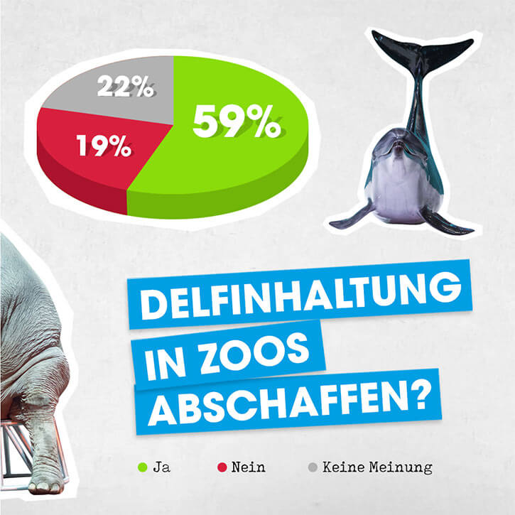 Umfrageergebnisse Delfinhaltung in Zoos