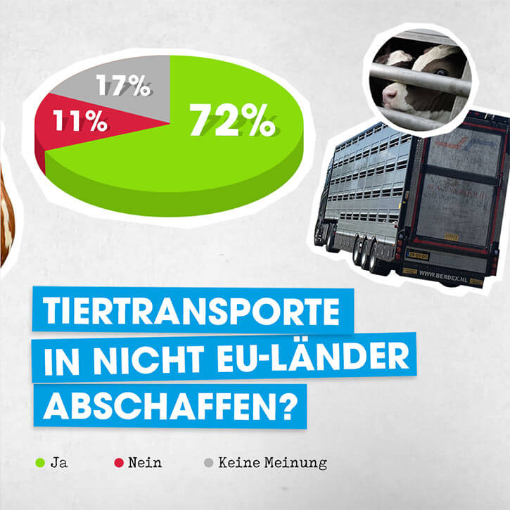 Umfrageergebnisse Tiertransporte