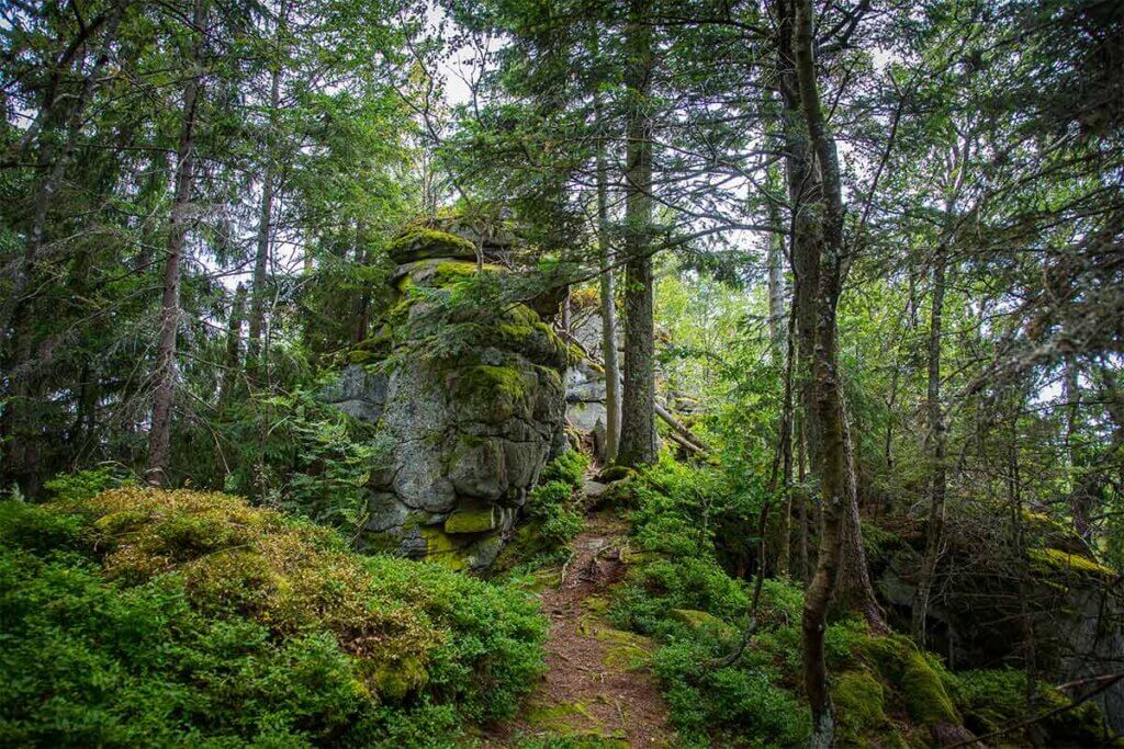 Bayrischer Wald