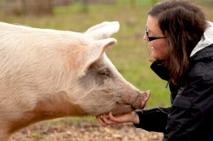 Frau streichelt Schwein